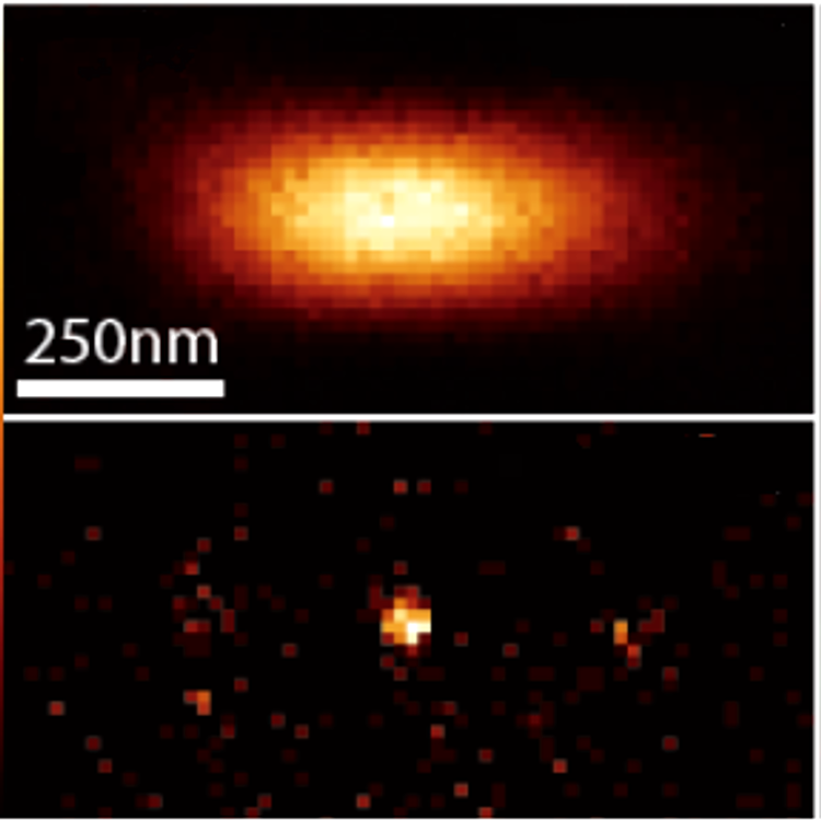 Microscope versus nanoscope. Diffraction-limited 3D focal spot in standard optical microscopy (<i>top</i>) compared to the 45 nm spherical one now achieved in optical nanoscopy (<i>bottom</i>).