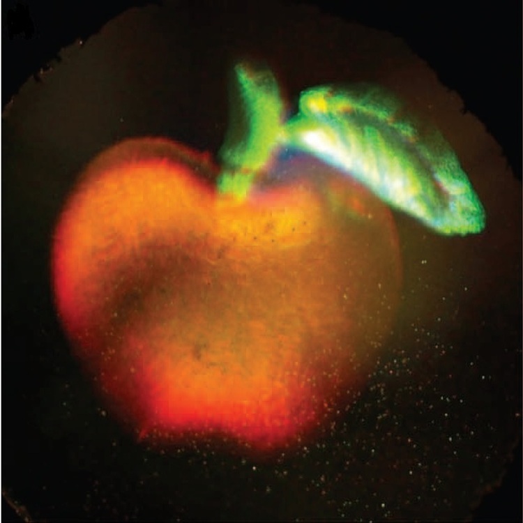 A 3D full color hologram of an apple. The image shown here is a photograph of a hologram that records the three dimensional structure of an apple and leaf in full color. This frame is part of a video that demonstrates how changing the viewer�s perspective of the hologram alters its appearance, as would happen when viewing the original object.