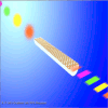 Broadband graphene polarizer. Artistic view of a graphene polarizer turning unpolarized light (left) to horizontally polarized light (right) at multiple wavelengths (colors) simultaneously.