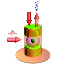 Wave-like behavior: A rafting experience. A probe pulse (arrow on the top left) fills the cavity with photons. A control laser pulse (arrow on the left) takes the system from the ground state to its first excited state. The internal state of the atom changes to the tune of the light waves of the photons in the cavity, where it is in a <i>strong coupling regime</i>: it oscillates between the first and second excited states, while emitting and reabsorbing photons. These oscillations are called <i>Rabi oscillations</i>. The photons emitted (arrow on the top right) by the cavity behave like waves.