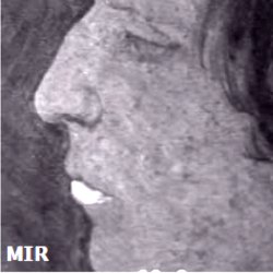 Mid-infrared image. A mid-infrared image detects the material response of the more superficial fresco layer.