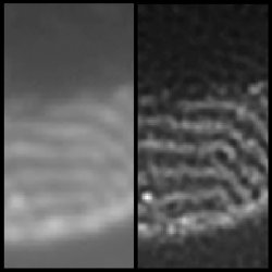 Images out of noise. These two images represent the same sample under a uniform illumination (left) and after the reconstruction technique of Sentenac and colleagues (right), where more details can be distinguished.