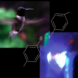 The polymeric hummingbird�s wing. A polymeric cantilever containing  photosensitive molecules (azobenzene, shown in the picture) starts to oscillate rapidly when exposed to light radiation. Just like the oscillations of a hummingbird�s wing, these oscillations occur at about thirty cycles per second (30 Hz).