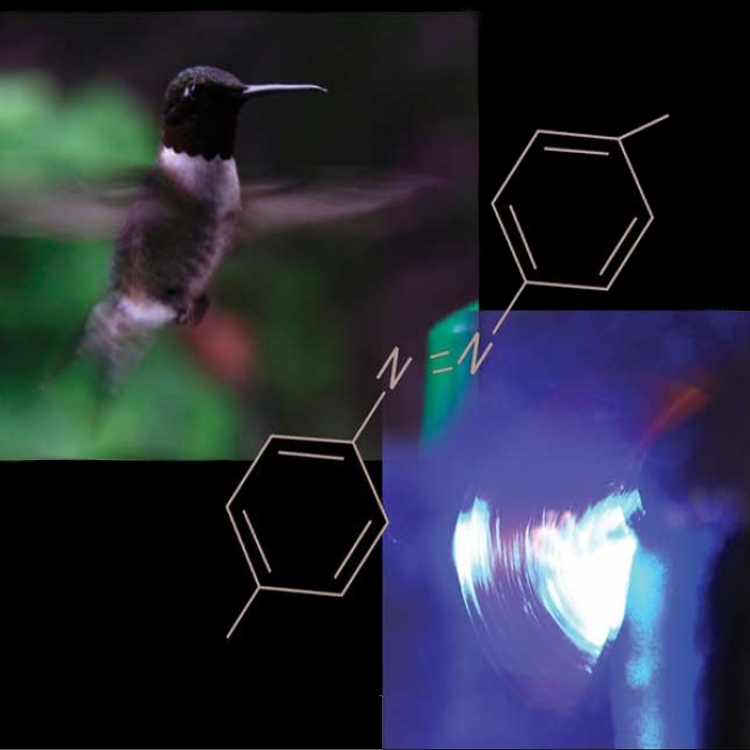 The polymeric hummingbirds wing. A polymeric cantilever containing  photosensitive molecules (azobenzene, shown in the picture) starts to oscillate rapidly when exposed to light radiation. Just like the oscillations of a hummingbirds wing, these oscillations occur at about thirty cycles per second (30 Hz).